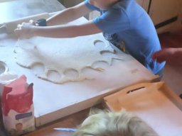 5015872151168979185030028962862612778879214n